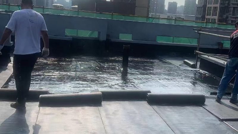 地铁专用聚氨酯防水涂料：揭秘其价格背后的秘密